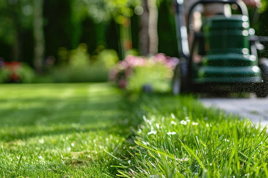 yard mower